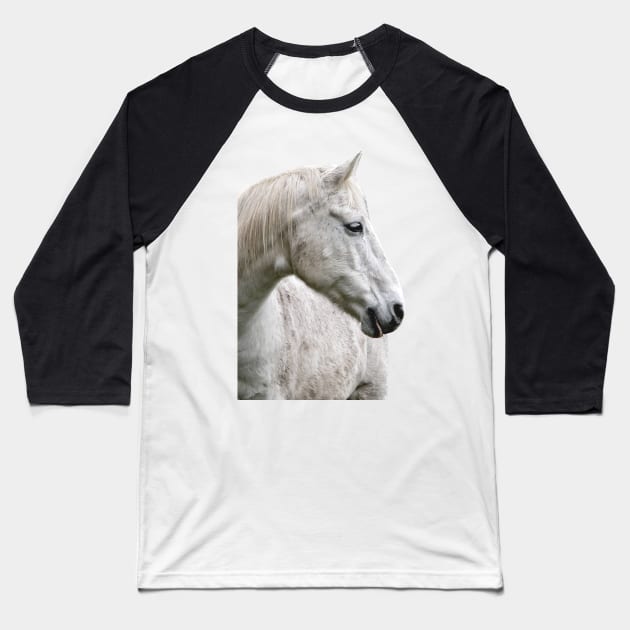 photo horse max Baseball T-Shirt by mystudiocreate